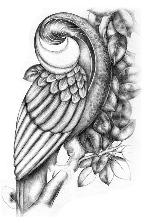 Parot on Behance
