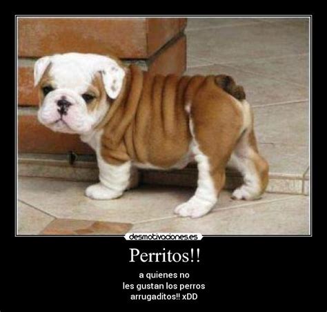 Imágenes y Carteles de KOBOZ | Desmotivaciones