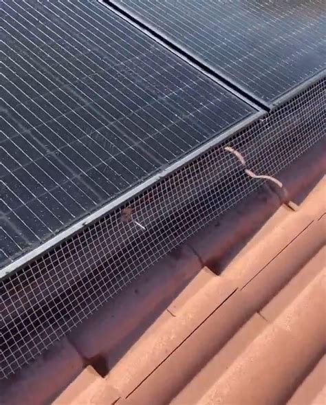 solar panel mesh installation