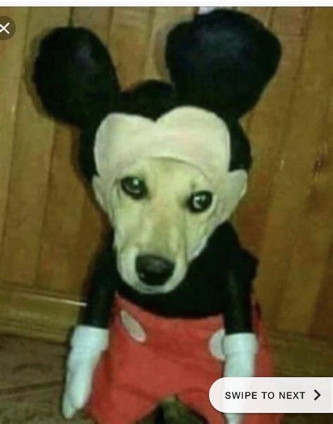 Cursed Mickey : r/Cursed_Images