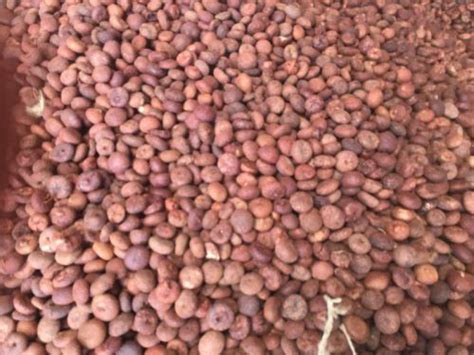 areca nut packaging type jute bag  rs   uttara kannada id