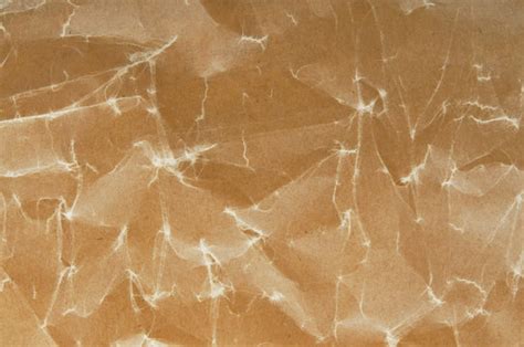 "Wax Paper" Images – Browse 2,171 Stock Photos, Vectors, and Video ...