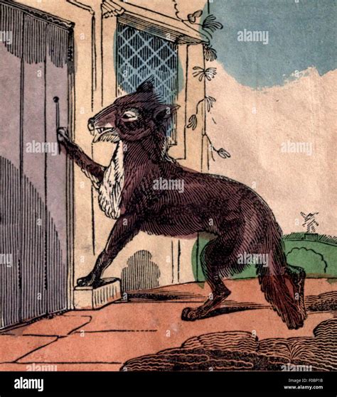 Red Riding Hood And Wolf : Little Red , The Riding Hood And Big Bad