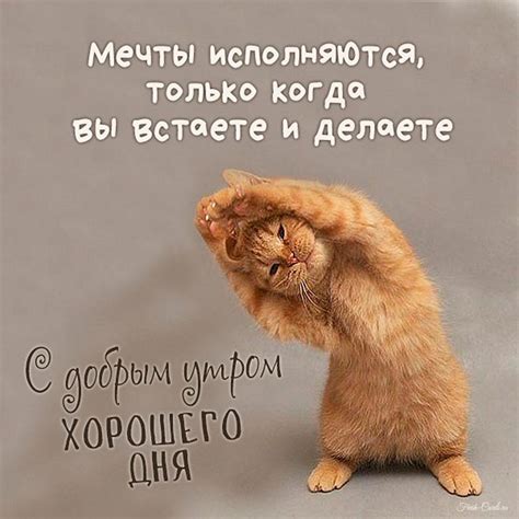 Открытки и красивые картинки с добрым утром
