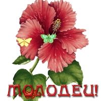 Готовь сани летом! | Страна Мастеров
