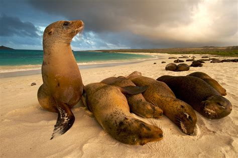Galápagos Islands UNESCO World Heritage Site