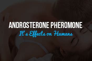 Androsterone Pheromone: It’s Effects on Humans - True Pherom