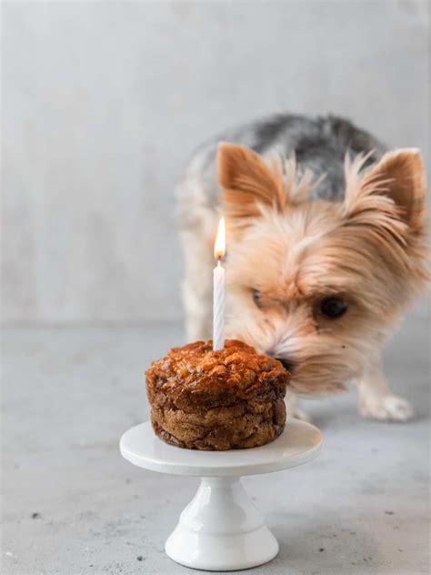 Dog Birthday Cake | Kitchen 335