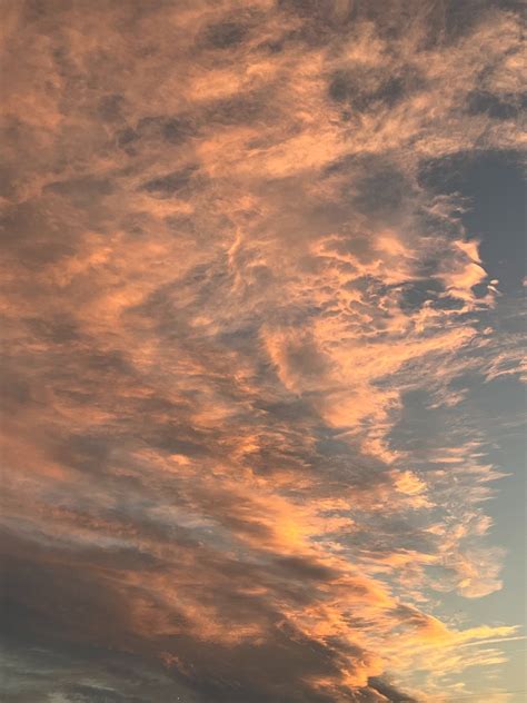 Gallery | katie-cali | VSCO