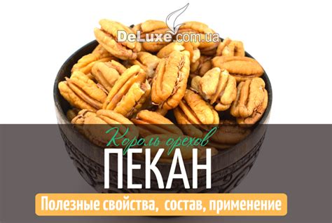 Орехи Пекан — польза, состав, свойства и применение. Инфографика.