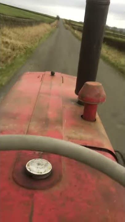 international   youtube