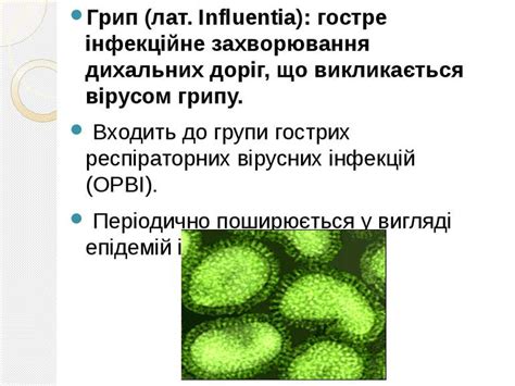 Віруси грипу - презентація з біології