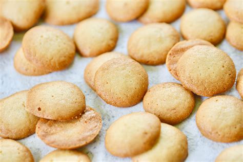 Are Nilla Wafers Vegan? Find Out Here! - Vegan Tab