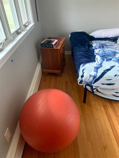 Safe and Thorough Mold Removal in Cape May County Homes