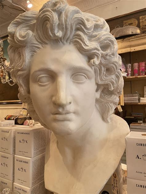 lea chin-sang on Twitter: "he looks like shawty from the bear https://t