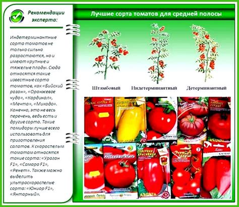Самые лучшие сорта томатов для теплицы - Всё про теплицы