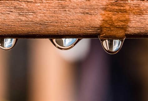 forest products bg processed forest products