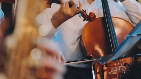 violin instruments, symphony orchestra stock footage 46295724 Stock ...