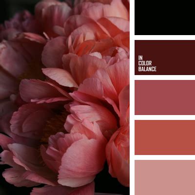 Page 6 | Теплые оттенки | IN COLOR BALANCE