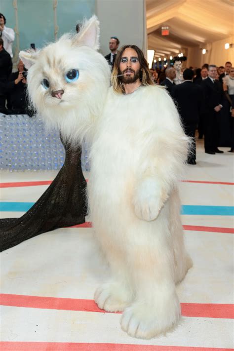 Met Gala 2023 | Пикабу