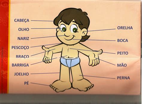 Partes Do Corpo Humano Com A Letra D