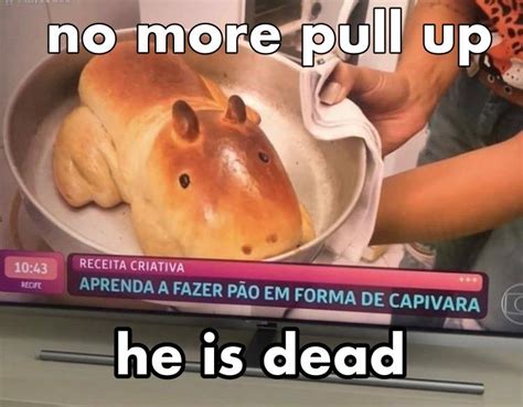 he is dead : r/capybara