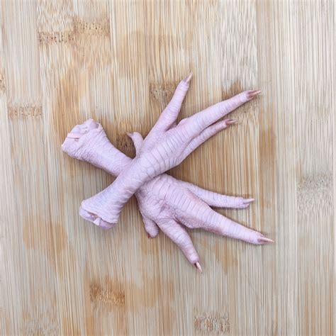 Chicken Feet Anatomy