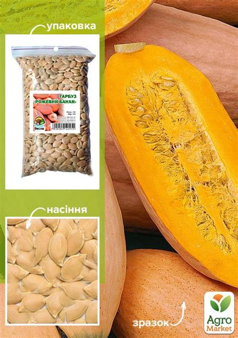 Тыква "Розовый банан" ТМ "Весна" 500г купить почтой в Одессе, Киеве ...