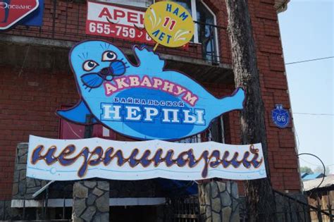Irkutsk Photos - Featured Images of Irkutsk, Irkutsk Oblast - Tripadvisor