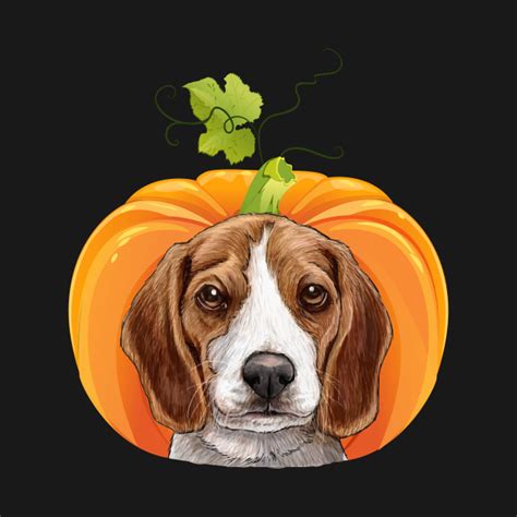 Beagle Pumpkin Halloween Costume - Beagle Pumpkin Halloween - T-Shirt ...