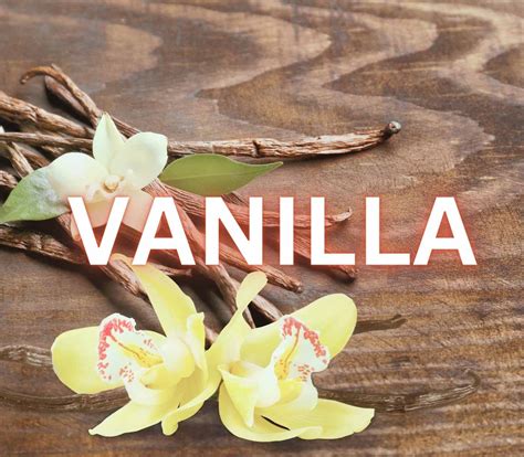 vanilla  flavorful oasis   heart   rainforest open wiking