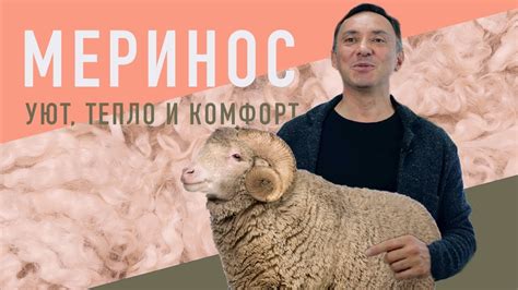 МЕРИНОС - САМАЯ КАЧЕСТВЕННАЯ ШЕРСТЬ, УЮТ, ТЕПЛО И КОМФОРТ - YouTube