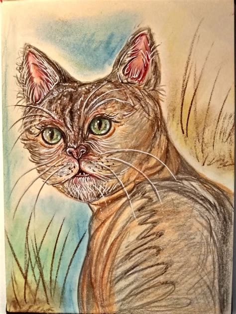 strange cat by MoonBlueXx on DeviantArt