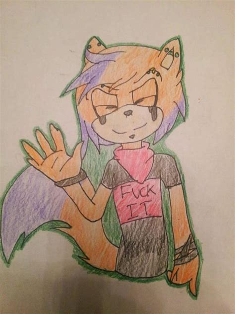 sonic dingo fox auction open  awesomelyrandom  deviantart