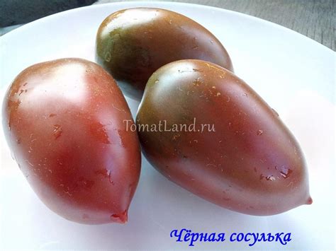 Томат Сосулька черная: ОТЗЫВЫ (11), фото, урожайность, описание и ...