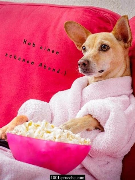 SCHÖNEN ABEND BILDER (49 +) Nett & Liebevoll | Grüße | 2020 | Schönen