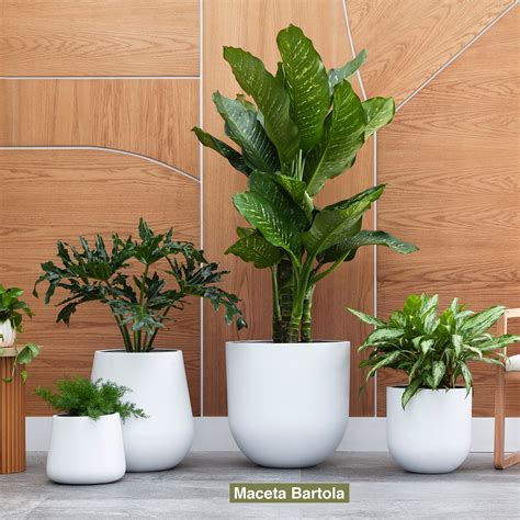 Maceta de Fibra de Vidrio | Piba Design