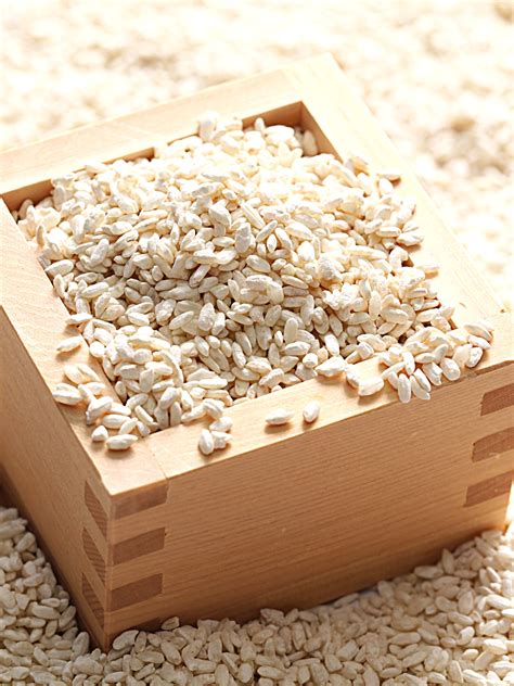 Exploring Malted Rice: What is it and Where Does It Come From?