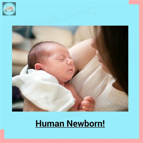 interesting facts  human babynewborn