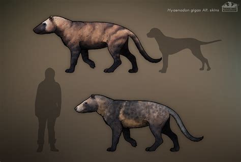 Hyaenodon Gigas