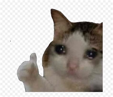 Sad Kitty Thumbs Up