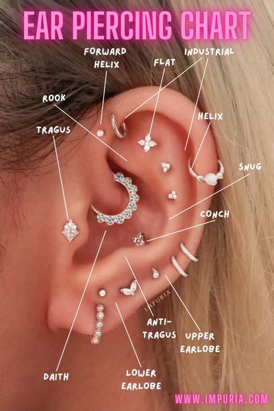 The Ultimate Guide to Ear Cartilage Piercings by Impuria Jewelry