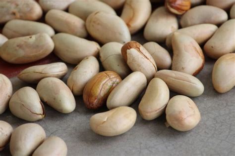 Para Que Serve O Caroço Da Jaca - Quais os benefícios do Caroço de Jaca?