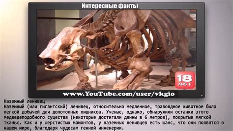 Вымершие животные - YouTube
