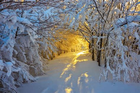snowy wonderlands    world  fight  winter blahs