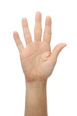 division  plastic surgery hand surgery sunnybrook hospital