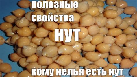 НУТ ПОЛЕЗНЫЕ СВОЙСТВА И ПРОТИВОПОКОЗАНИЯ КОГДА НУТ ЕСТЬ КАТЕГОРИЧЕСКИ ...