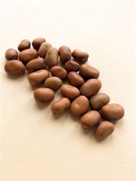 Боби фава ( рос. бобы Фава, фасоль Фава, англ. Fava beans) 1 кг (ID ...