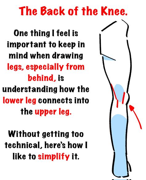 EmilioDekure on Twitter: "Notes for drawing the back of the knees. 😊