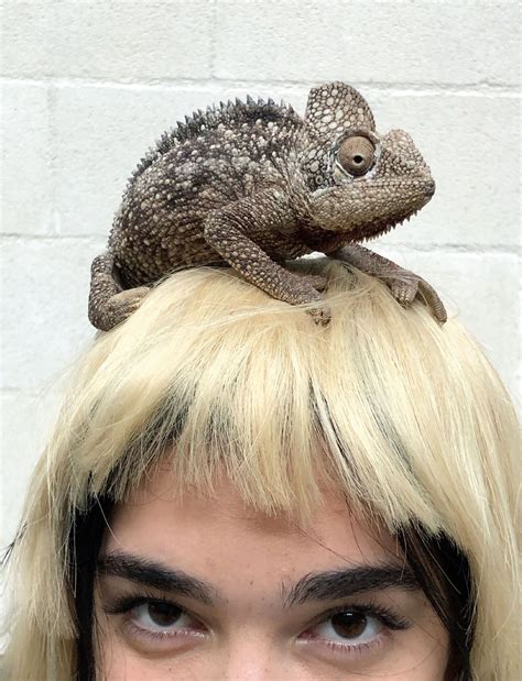 BEN REARDON - The Good Company Reps